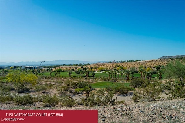 11151 Witchcraft Ct, Las Vegas, NV 89135 - photo 7