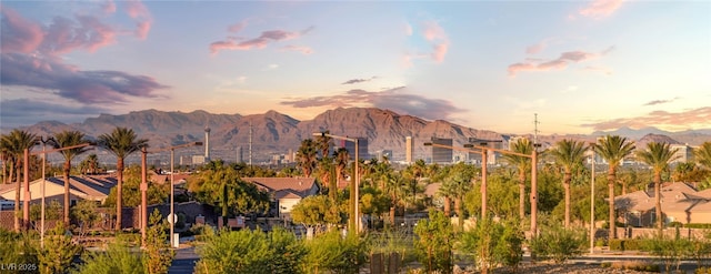 5201 Fading Sunset Dr, Las Vegas, NV 89135 - photo 53