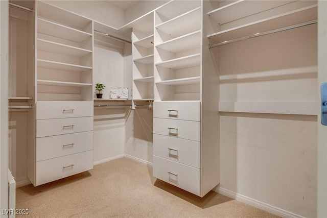 10809 Garden Mist Dr Unit 1051, Las Vegas, NV 89135 - photo 23