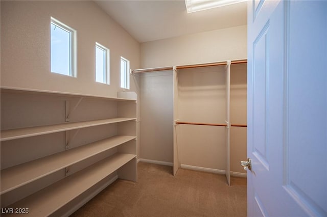 10513 Rusty Railroad Ave, Las Vegas, NV 89135 - photo 33