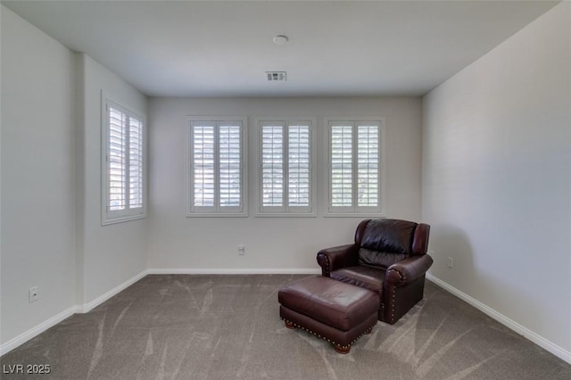 10244 Radcliffe Peak Ave, Las Vegas, NV 89166 - photo 48