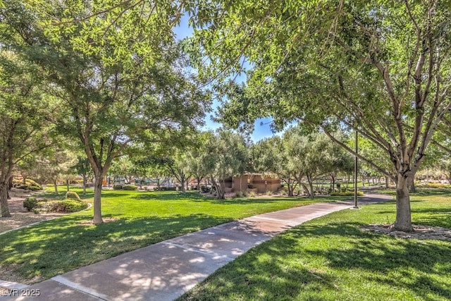 11039 Pegasus Dr, Las Vegas, NV 89135 - photo 52