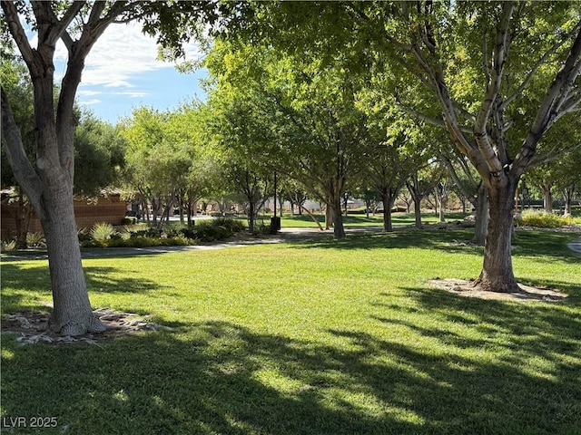 11039 Pegasus Dr, Las Vegas, NV 89135 - photo 55