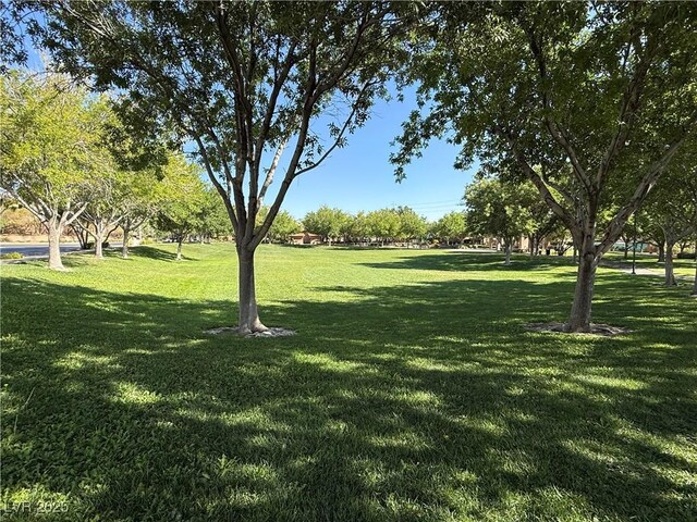 11039 Pegasus Dr, Las Vegas, NV 89135 - photo 57