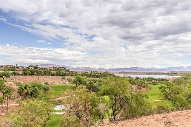 10 Via Vasari Unit 3105, Henderson, NV 89011 - photo 57