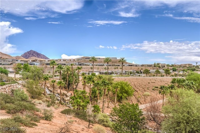 10 Via Vasari Unit 3105, Henderson, NV 89011 - photo 58