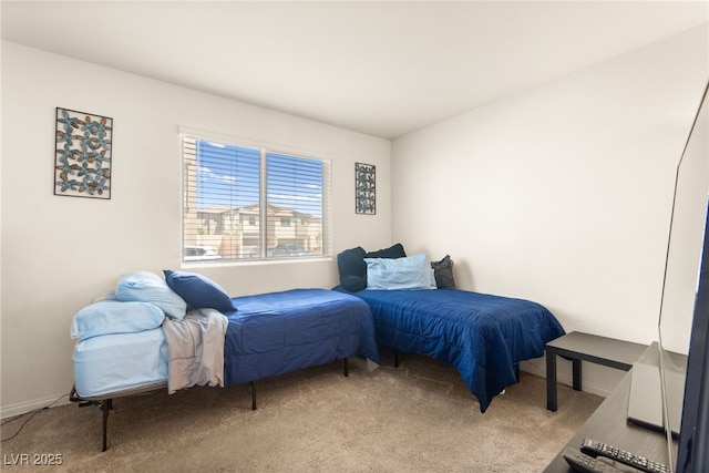 6937 Spicy Merlot St, North Las Vegas, NV 89086 - photo 11