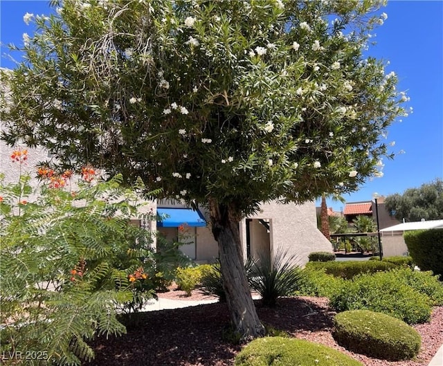 4361 Sanderling Cir Unit 33, Las Vegas, NV 89103 - photo 36