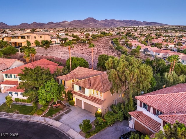 1351 Volturno Way, Henderson, NV 89052 - photo 45