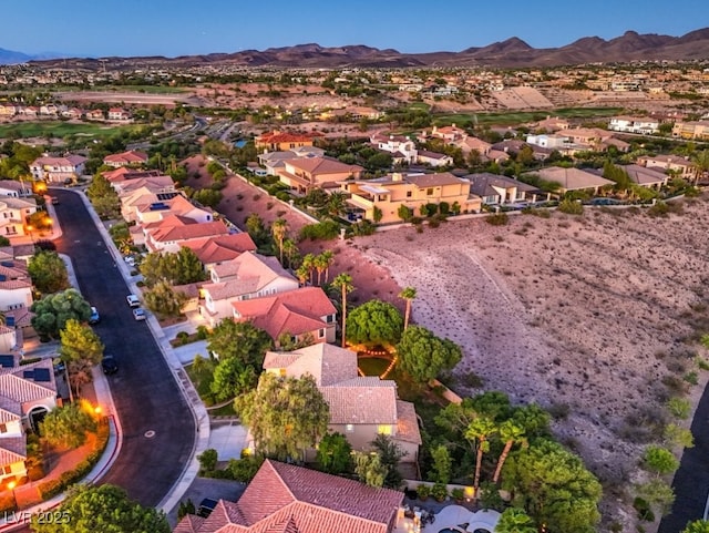 1351 Volturno Way, Henderson, NV 89052 - photo 46