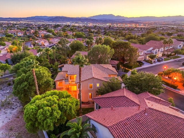 1351 Volturno Way, Henderson, NV 89052 - photo 49
