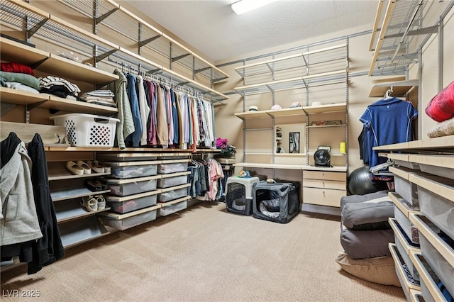 11815 Spadari Ct, Las Vegas, NV 89138 - photo 21