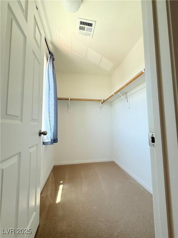 10560 Pelican Island Ave, Las Vegas, NV 89166 - photo 17