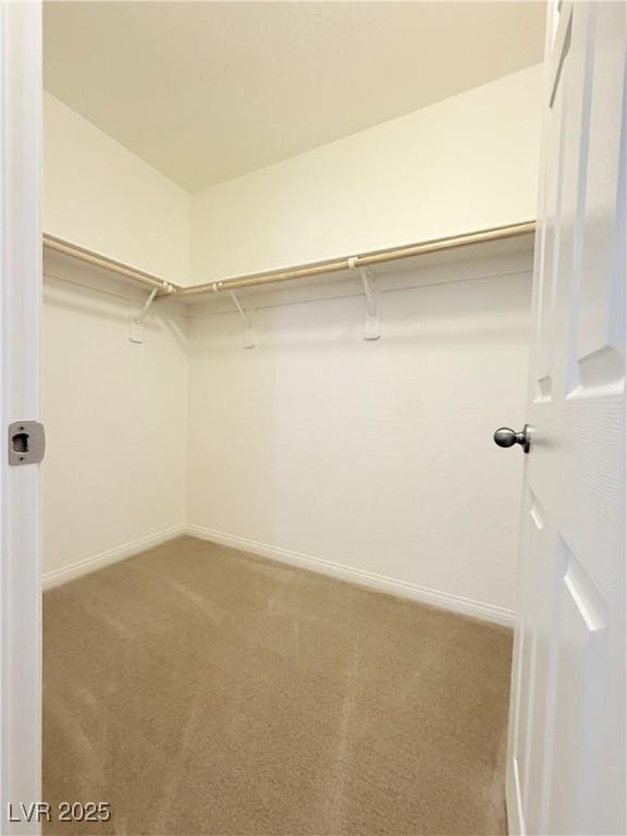 10560 Pelican Island Ave, Las Vegas, NV 89166 - photo 19