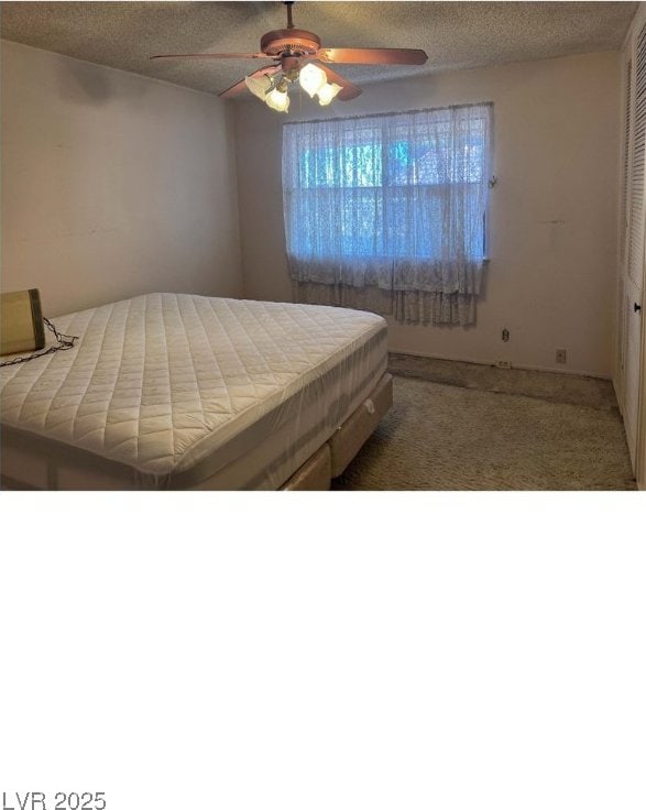 2414 Paradise Village Way, Las Vegas, NV 89120 - photo 7