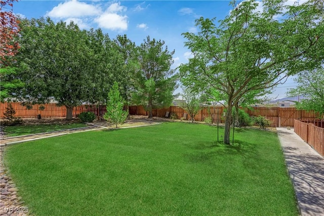 1411 Marion Miller, Pahrump, NV 89048 - photo 41