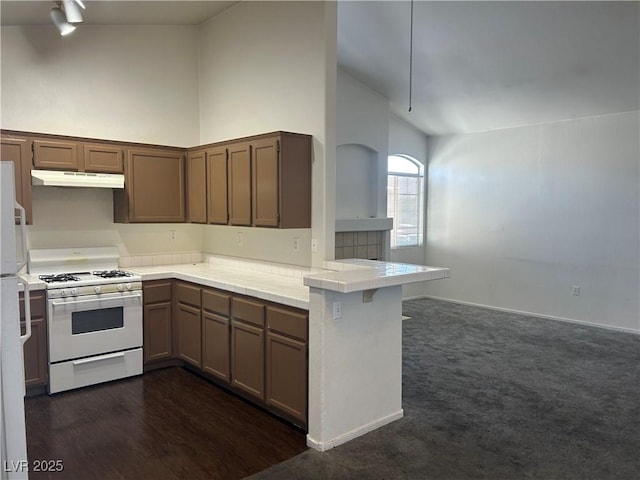 1405 S Nellis Blvd Unit 2082, Las Vegas, NV 89104 - photo 8
