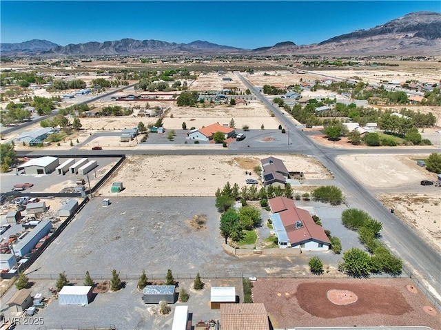 451 W Leffner Dr, Pahrump, NV 89060 - photo 42