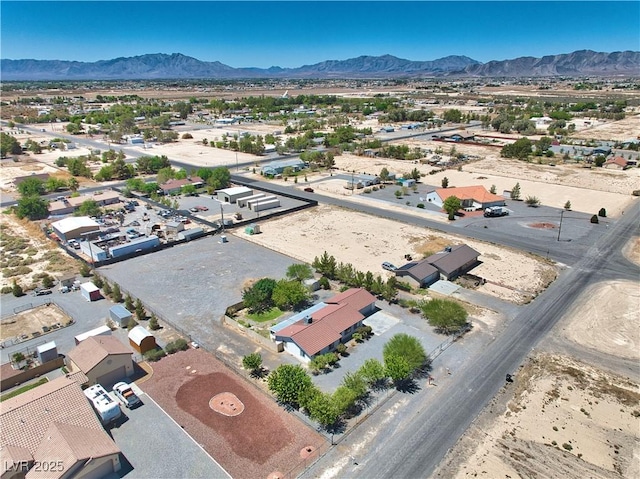 451 W Leffner Dr, Pahrump, NV 89060 - photo 43