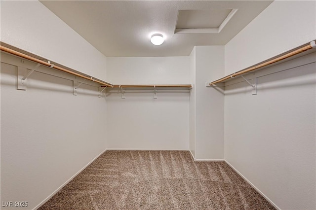 7623 Lone Shepherd Dr, Las Vegas, NV 89166 - photo 28