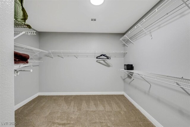 9495 Vieno Canyon St, Las Vegas, NV 89123 - photo 53