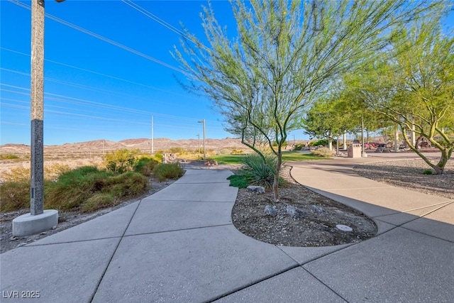 905 Rhyolite Ter, Henderson, NV 89011 - photo 70
