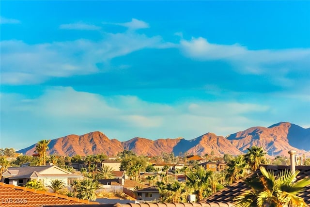 905 Rhyolite Ter, Henderson, NV 89011 - photo 52
