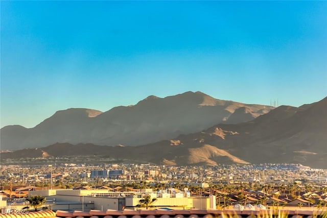 905 Rhyolite Ter, Henderson, NV 89011 - photo 53