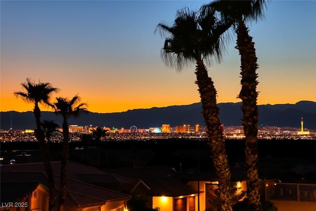 905 Rhyolite Ter, Henderson, NV 89011 - photo 54