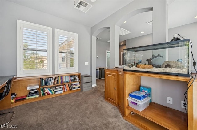 339 Dartmouth Hills St, Las Vegas, NV 89138 - photo 42