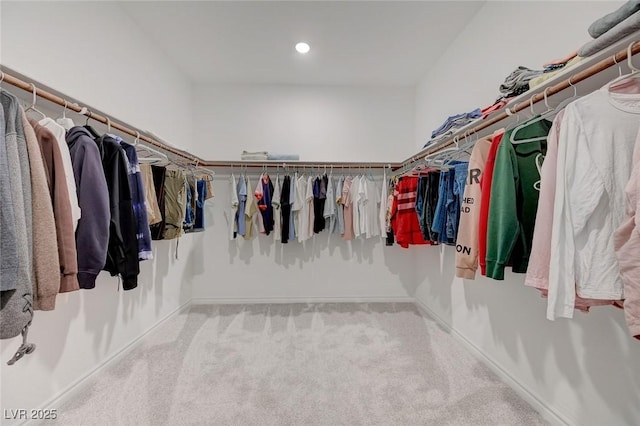 8866 Mountain Lion Ave, Las Vegas, NV 89166 - photo 38