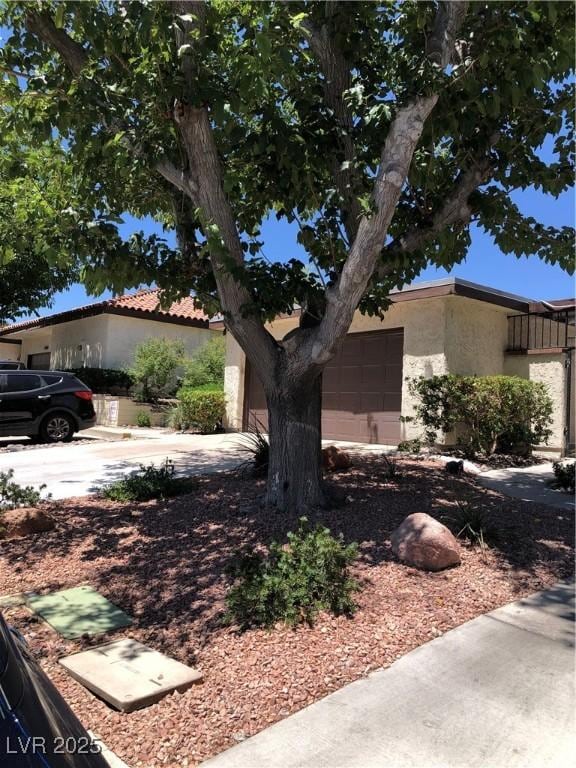 3066 Conquista Ct, Las Vegas, NV 89121 - photo 3