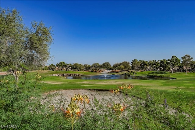 1956 High Mesa Dr, Henderson, NV 89012 - photo 72