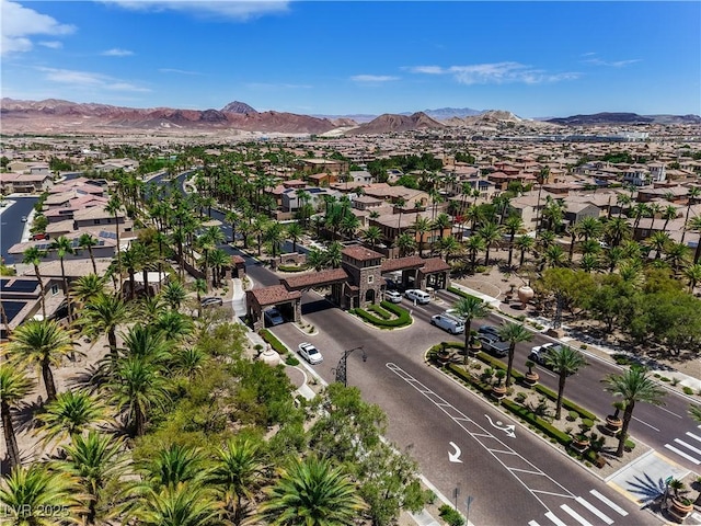 1145 Strada Pecei, Henderson, NV 89011 - photo 46