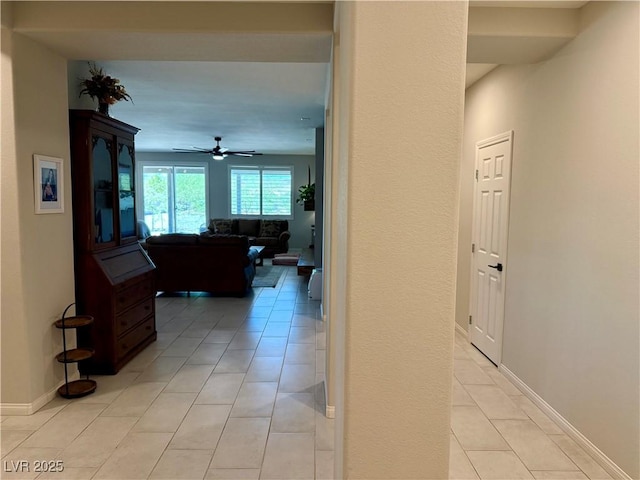 3821 River Heights Ln, Logandale, NV 89021 - photo 3