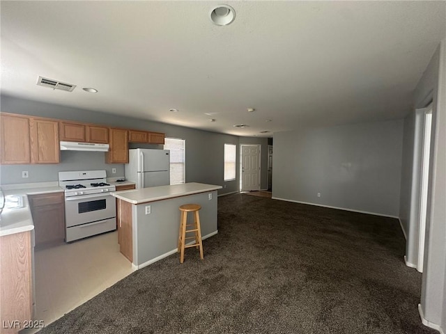 8020 Copperhead Creek St, Las Vegas, NV 89143 - photo 4