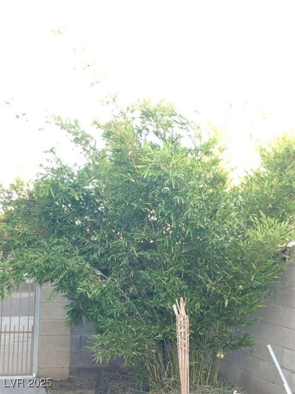 408 Greenfield Ln, Las Vegas, NV 89107 - photo 29