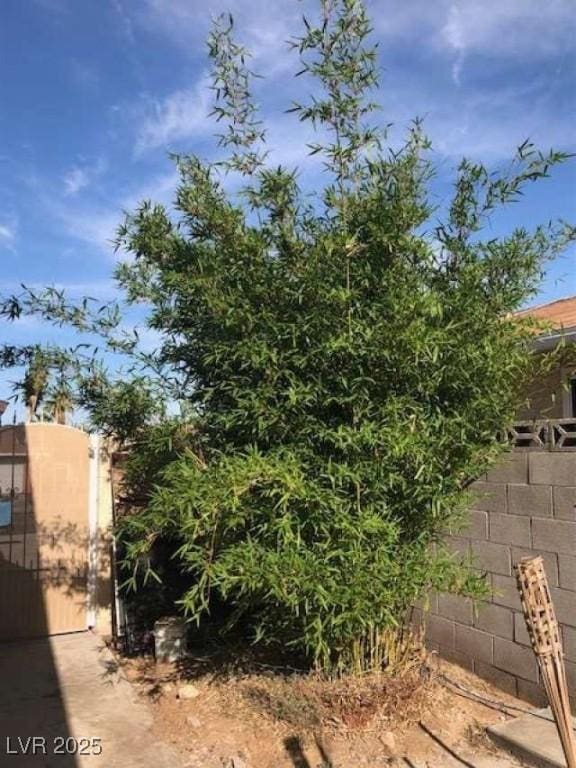 408 Greenfield Ln, Las Vegas, NV 89107 - photo 40