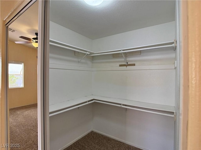463 Lava Beds Way N, Las Vegas, NV 89084 - photo 23