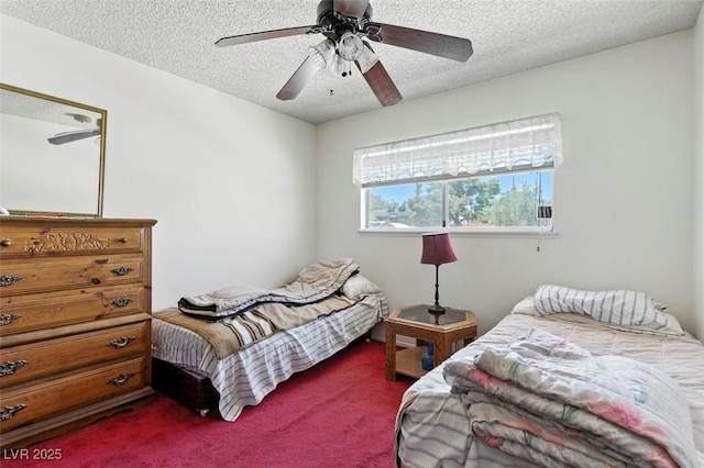 4311 El Campana Way, Las Vegas, NV 89121 - photo 33