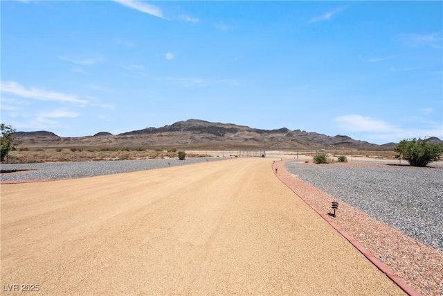 2411 W Bluebird Ave, Pahrump, NV 89060 - photo 4
