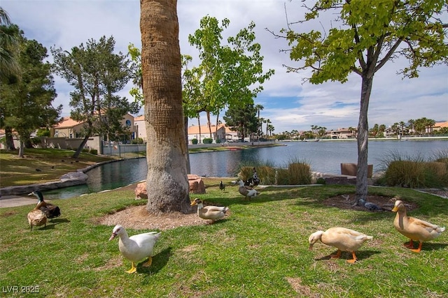 8112 Sapphire Bay Cir, Las Vegas, NV 89128 - photo 86