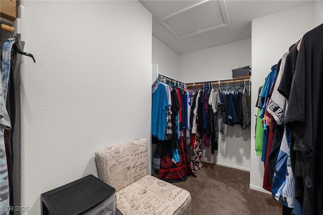 3821 E Summit Ave, Pahrump, NV 89061 - photo 34
