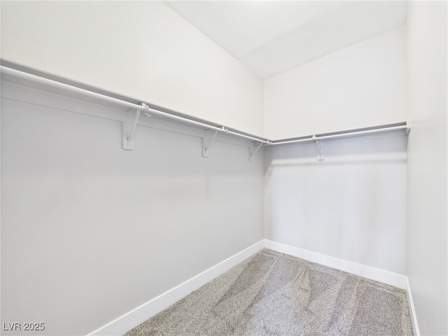 8922 Mossy Hollow Ave, Las Vegas, NV 89149 - photo 21