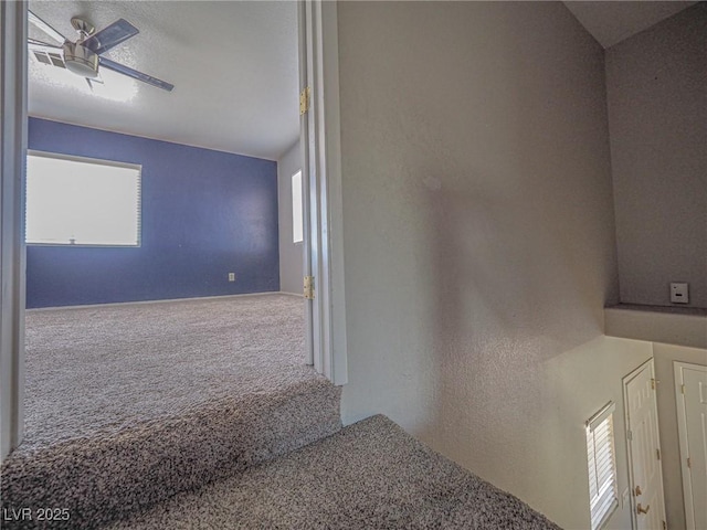 7412 Mission Palm St, Las Vegas, NV 89139 - photo 37