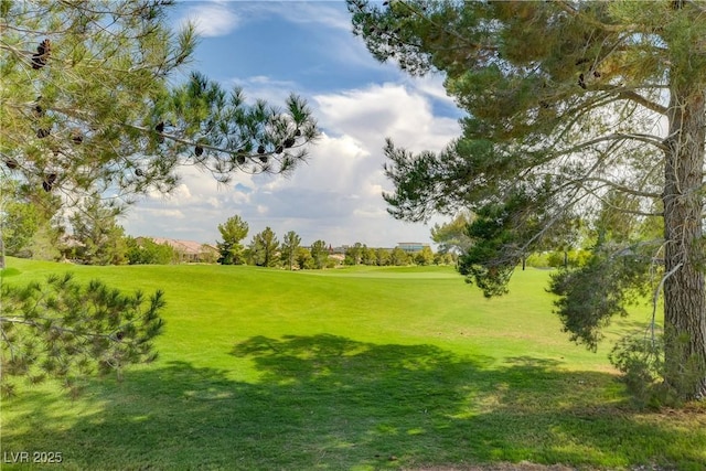 7937 Lily Trotter St, North Las Vegas, NV 89084 - photo 51