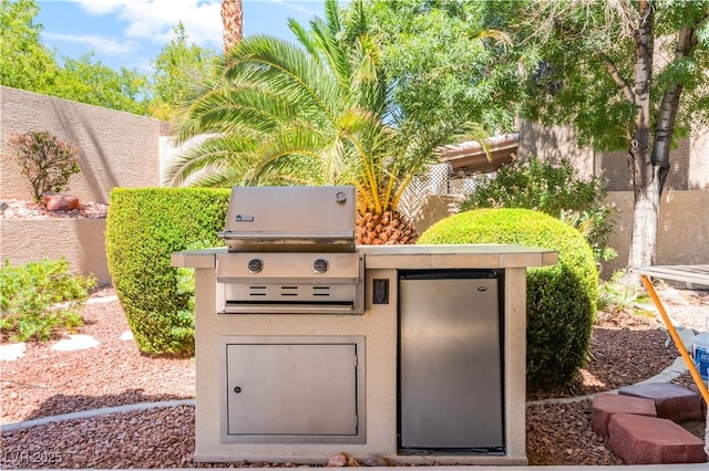 9137 Cotton Rose Way, Las Vegas, NV 89134 - photo 44