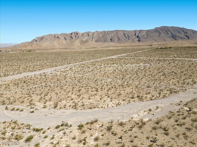 Scottie St, Las Vegas, NV 89166 - photo 4