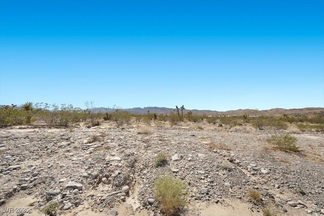 Scottie St, Las Vegas, NV 89166 - photo 18