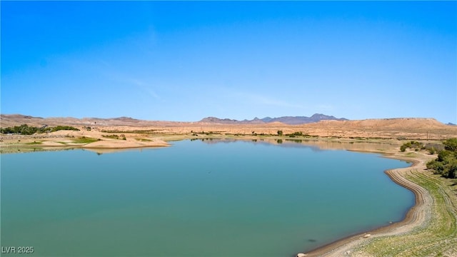 Paiute St, Logandale, NV 89021 - photo 22